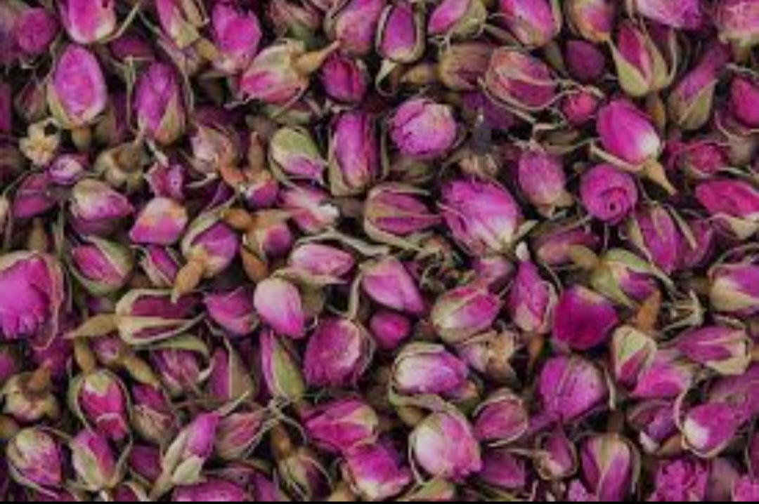  گل محمدی خشک تازه و خوشرنگ